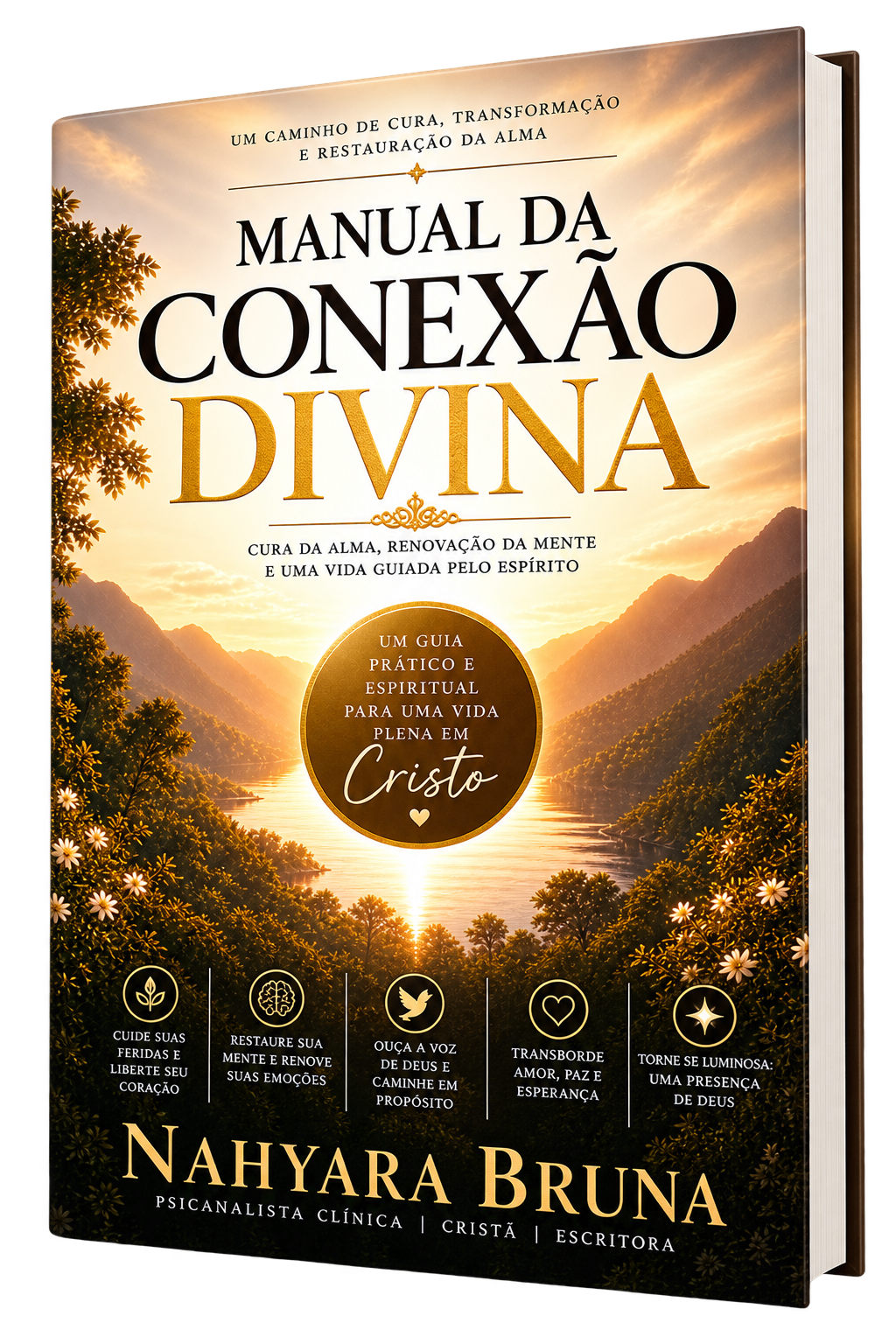 Capa do livro Manual da Conexão Divina